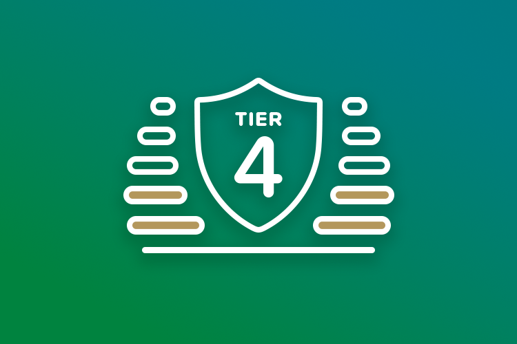 Tier 4: Intermediate Security Skills