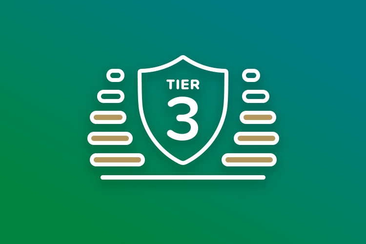 Tier 3: Specialized Functional Expertise